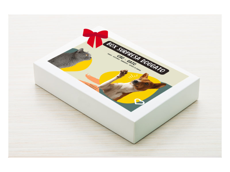 Box Surpresa de Natal para Gato da Doggato