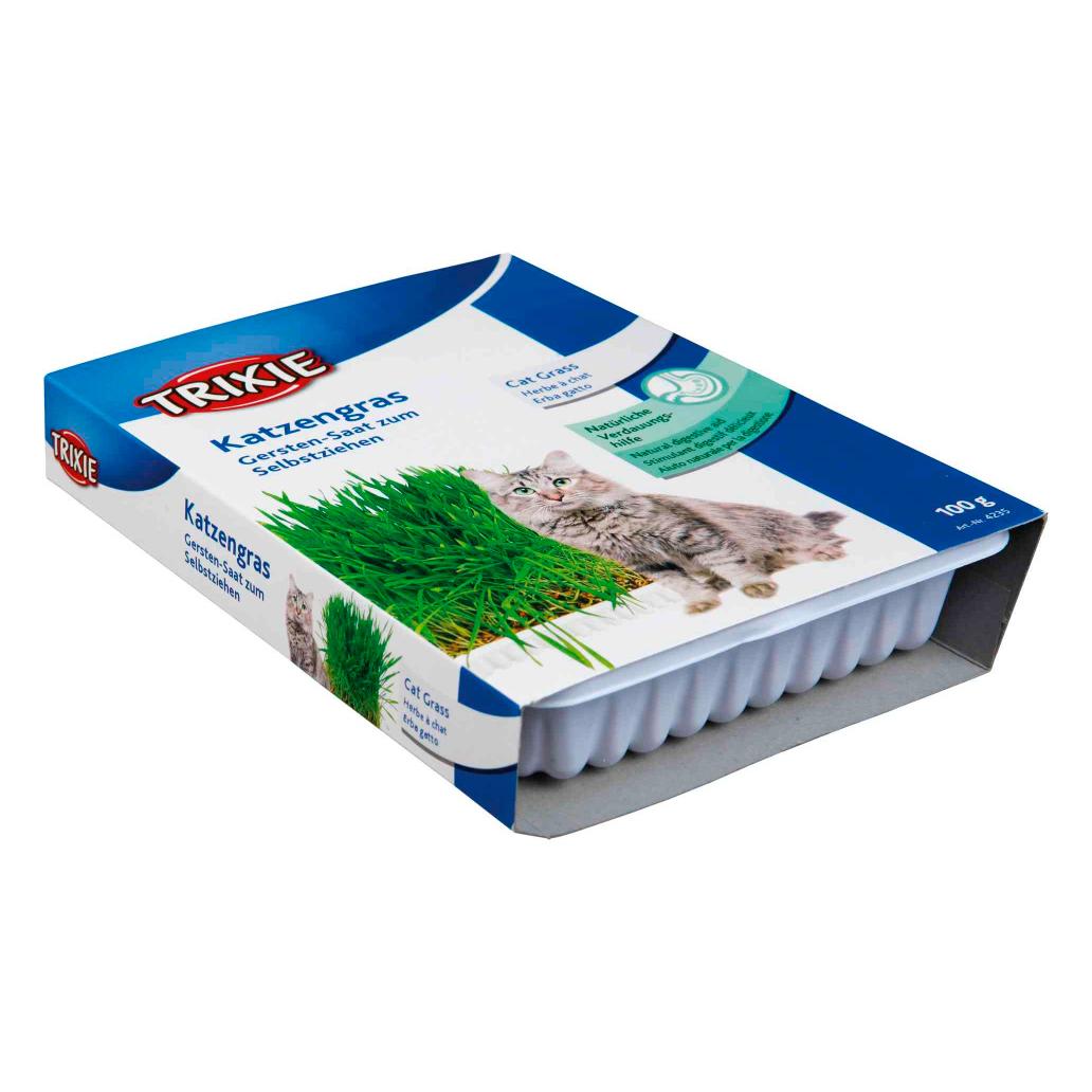 Erva Gateira com Tabuleiro