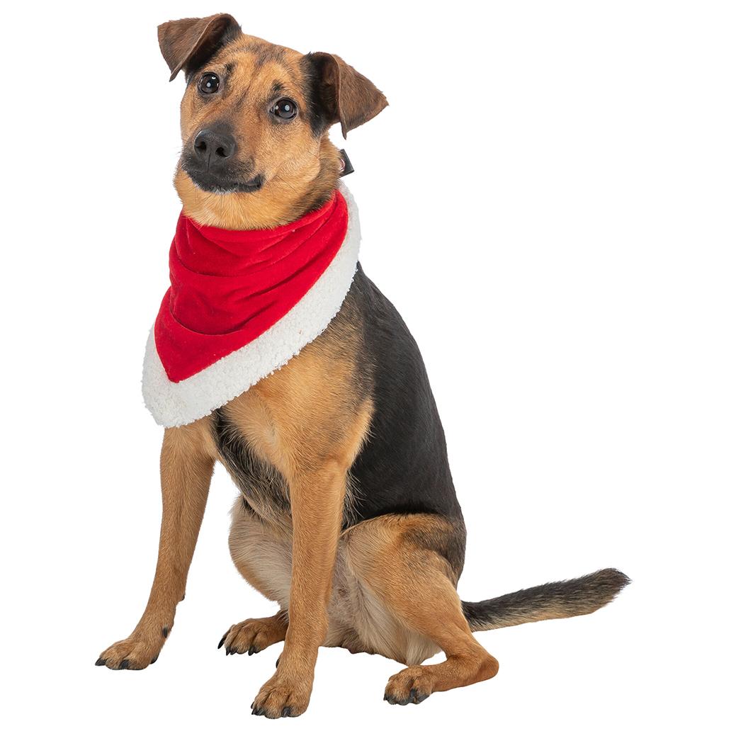 Lenço / Bandana de Natal para Cães